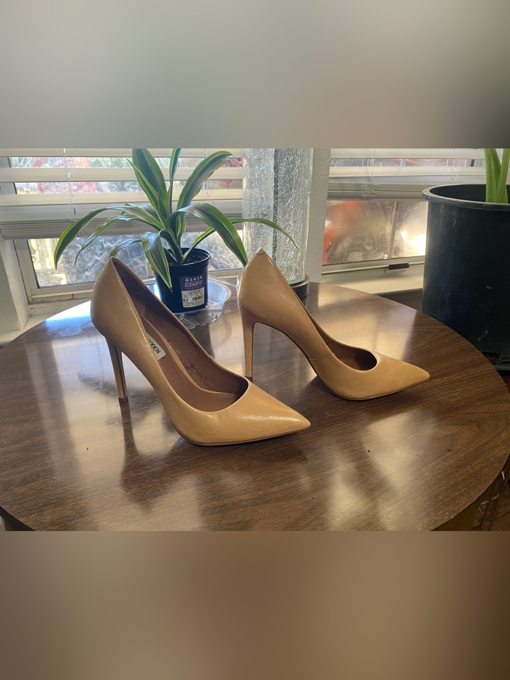 Steve Madden Proto2 Nude Pointed-Toe Heels